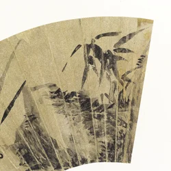 (Detail) Orchideen, Pilze und Felsen